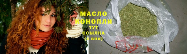 индика Богородицк